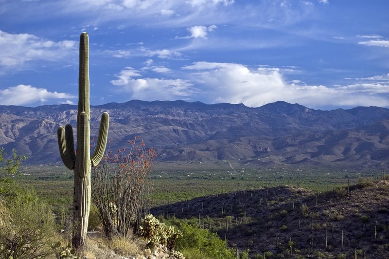 Ridge View.jpg :: Ridge View