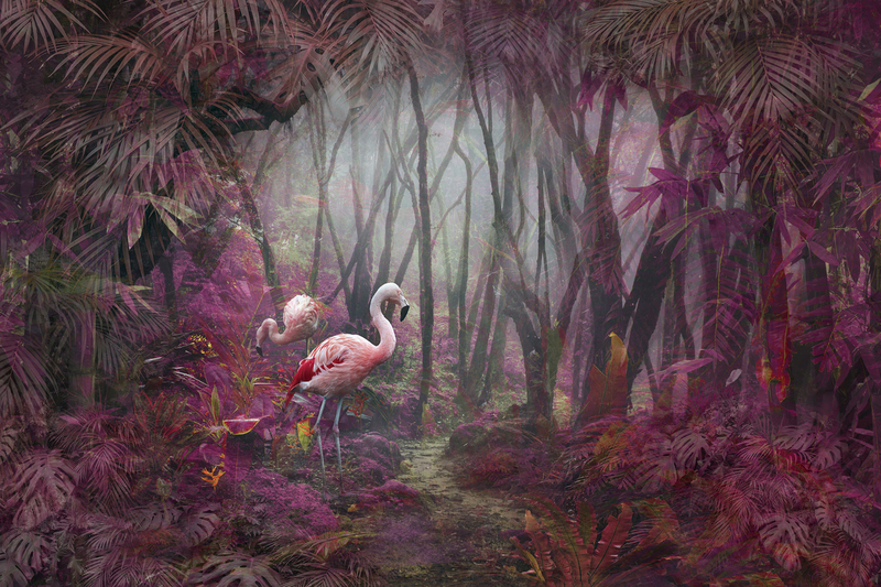 Another Tropics.jpg :: Another Tropics