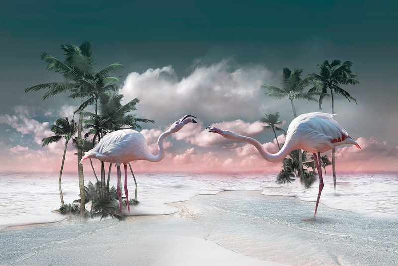 My Inner Tropics_Flamingo.jpg :: My Inner Tropics