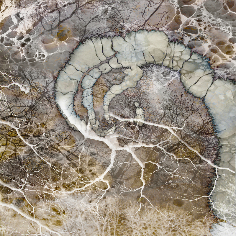 Nerve 2b.jpg :: Nerve Art