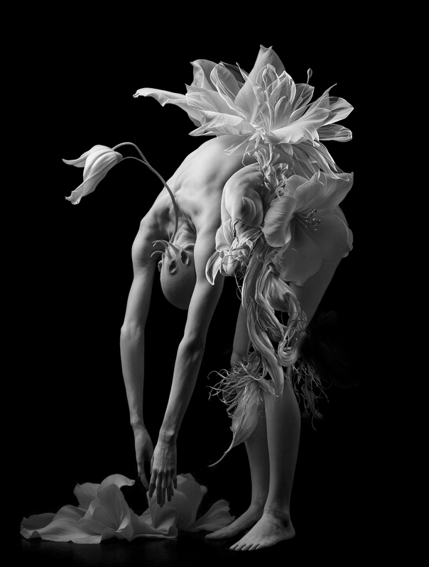 flower14a.jpg :: Flowery Body