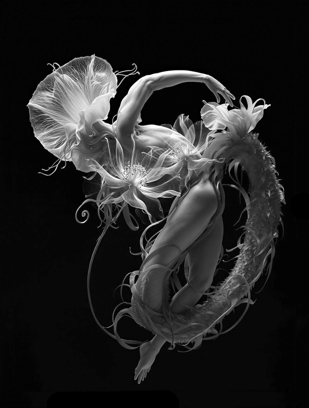 flower28.jpg
