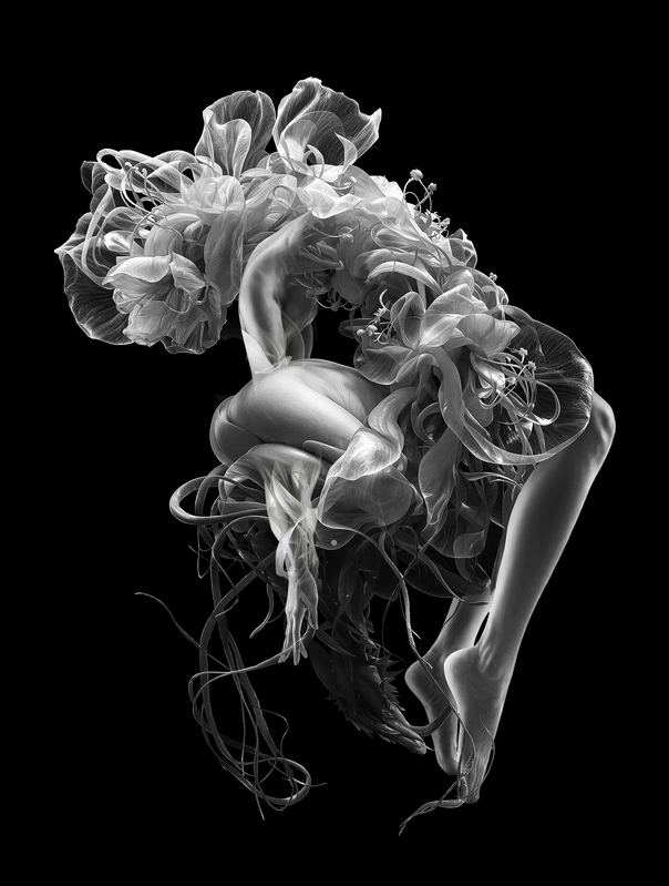 flower31.jpg :: Flowery Body