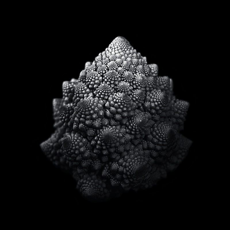 romanesco.jpg :: Fractal of Vegetable