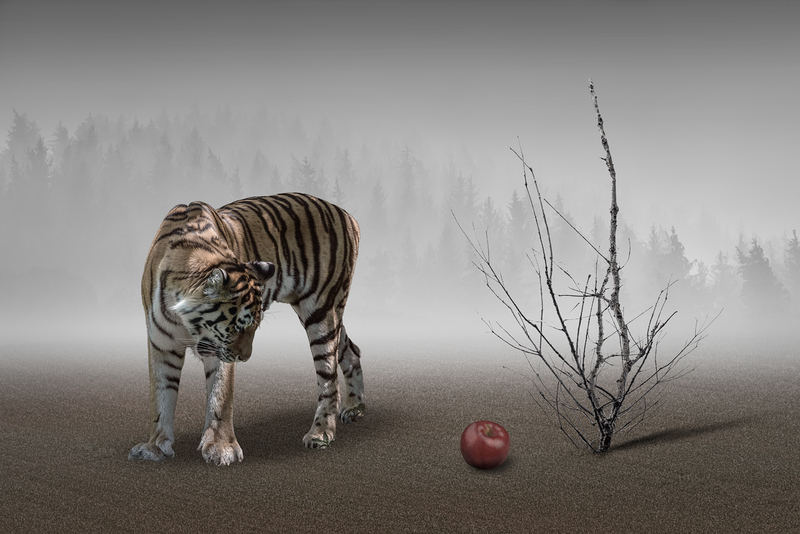 Apple Tiger 2.jpg :: They don't eat forbidden apple to keep their own wisdom