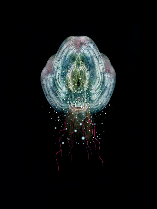 Aquatic-4.jpg