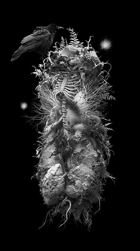 Body returned to nature 2.jpg :: Body returned to nature