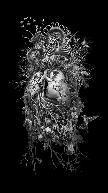 Body returned to nature.jpg :: Body returned to nature
