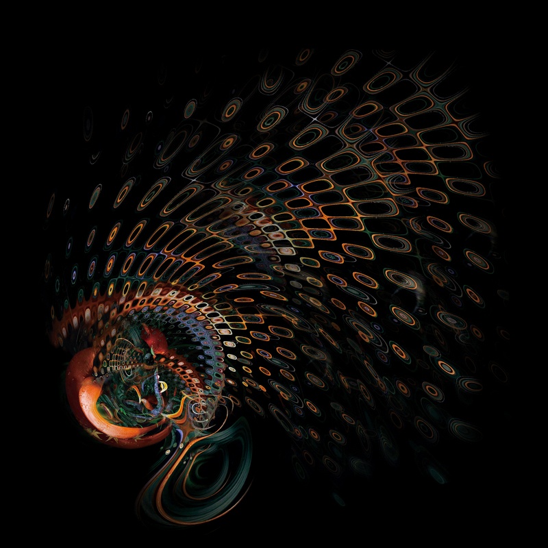 Floral Transformation_3.jpg