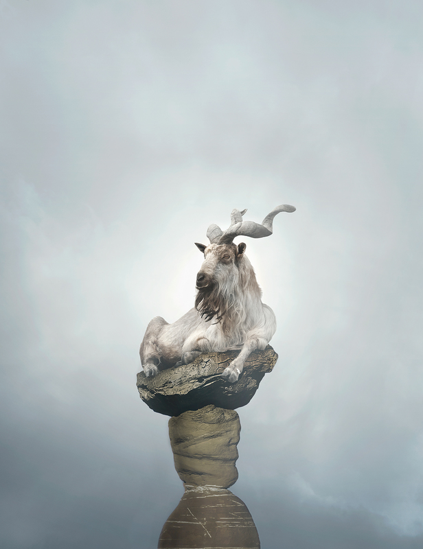 Markhor.jpg