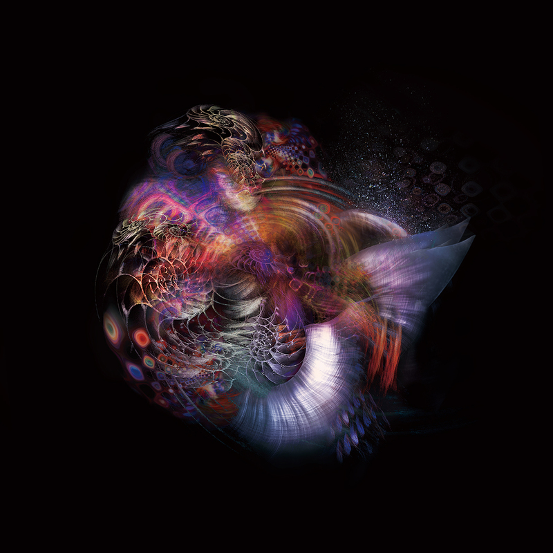 Nautilus Universe-Distortion.jpg :: Nautilus universe