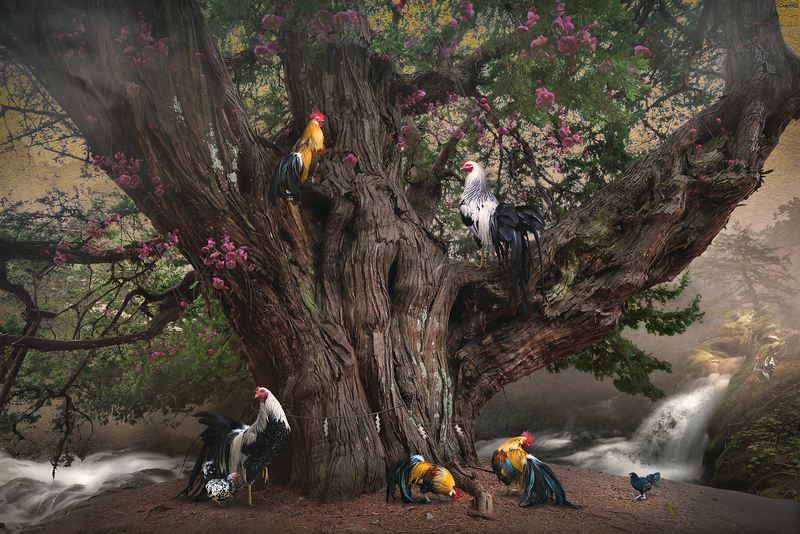 Sacred Tree Flower and Birds.jpg :: Imagery of sacred tree garden. Digitally enhanced art work.