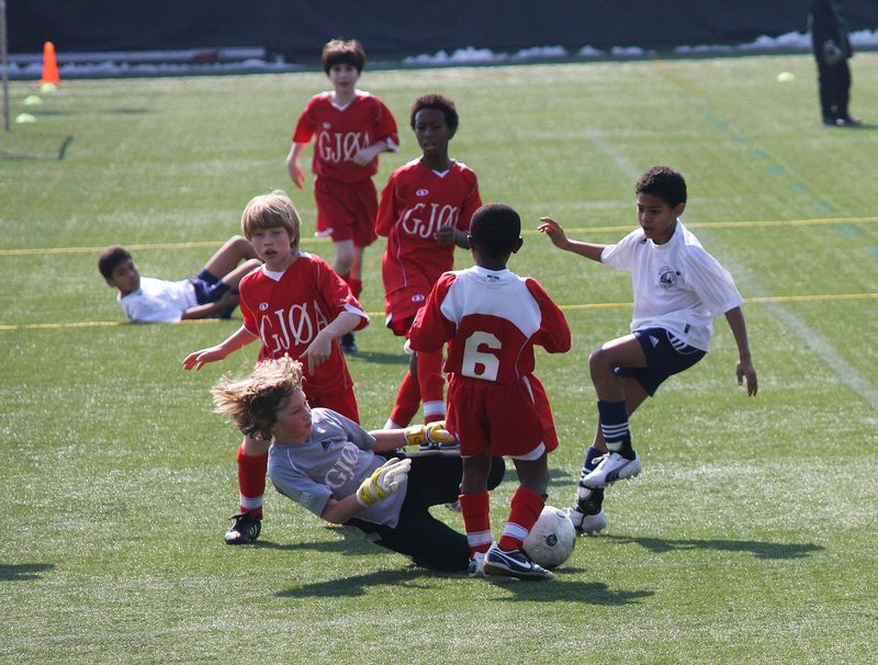 IMG_1502_crop_sharp.jpg