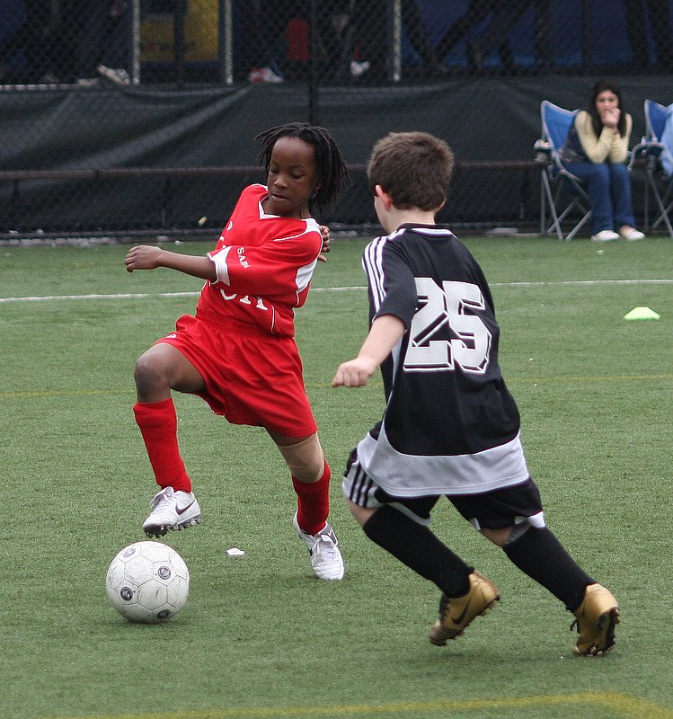 IMG_1613_crop_sharp.jpg