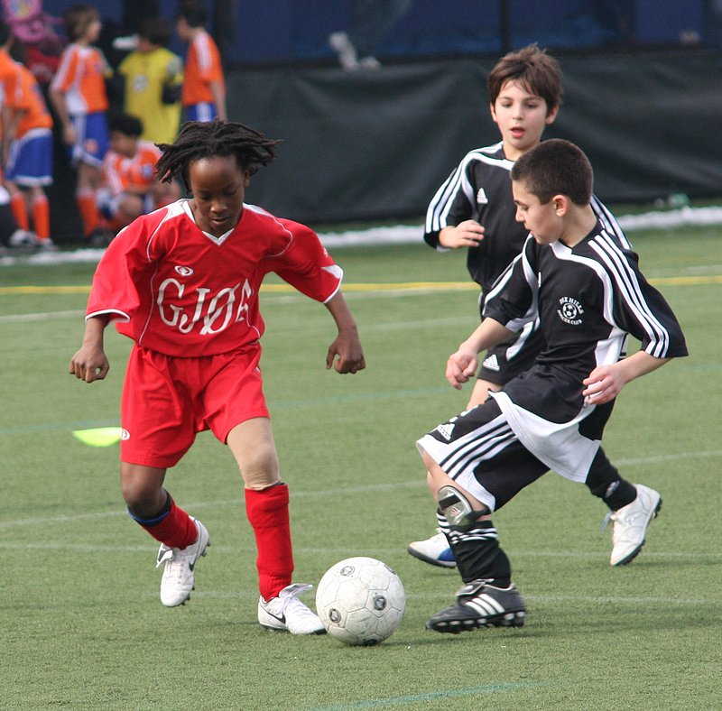 IMG_1698_crop.jpg