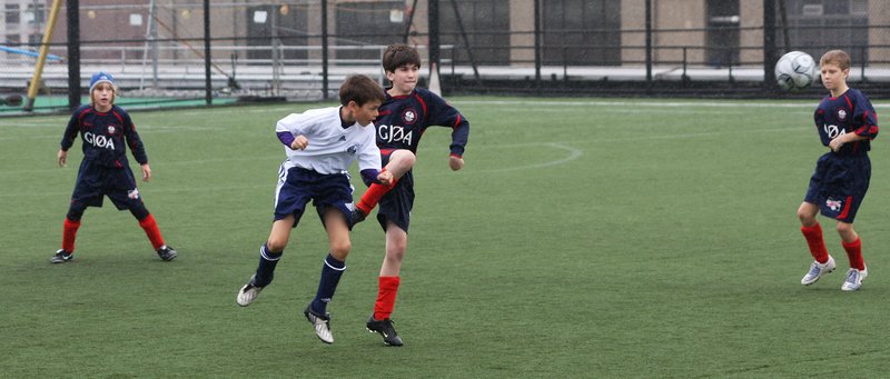 IMG_5175crop.jpg