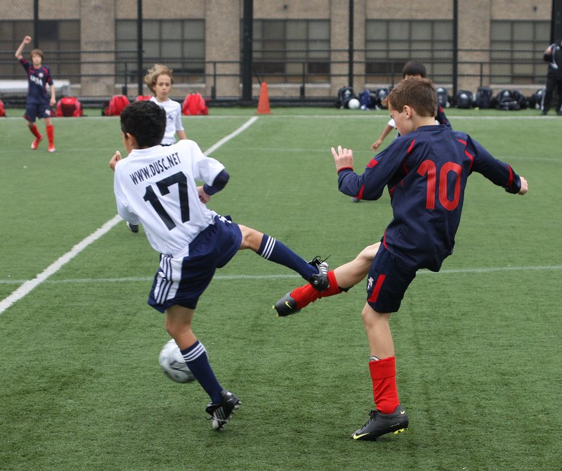 IMG_5284crop.jpg