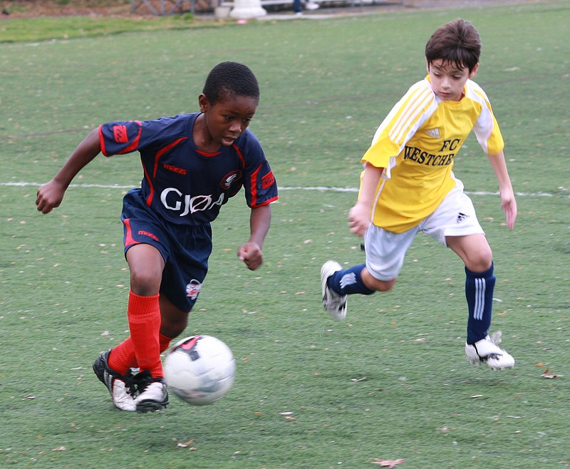 IMG_5981crop.jpg