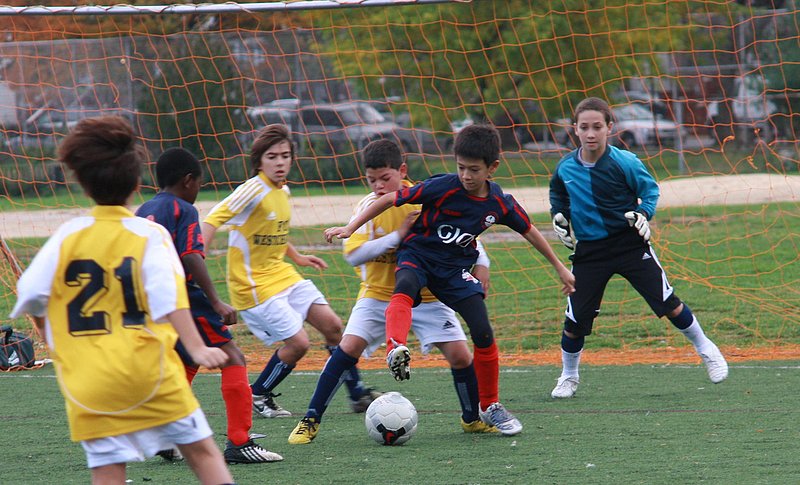 IMG_6000crop.jpg