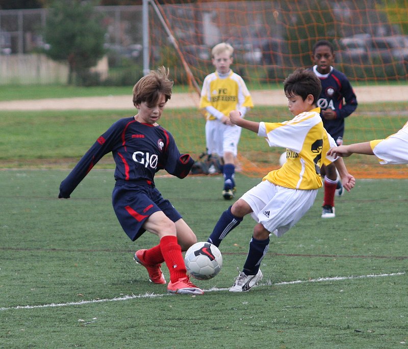IMG_6017crop.jpg