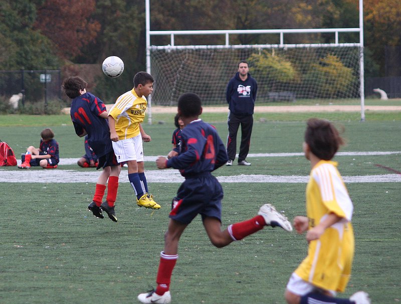 IMG_6026crop.jpg
