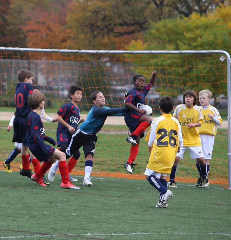 IMG_6036crop.jpg