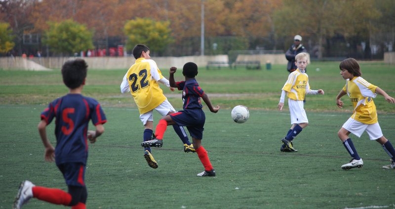 IMG_6048crop.jpg