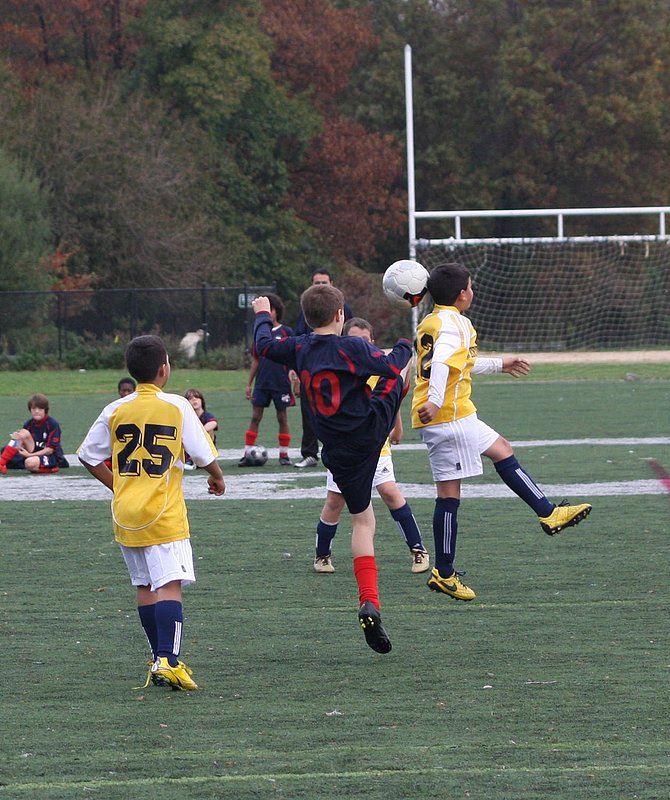 IMG_6052crop.jpg