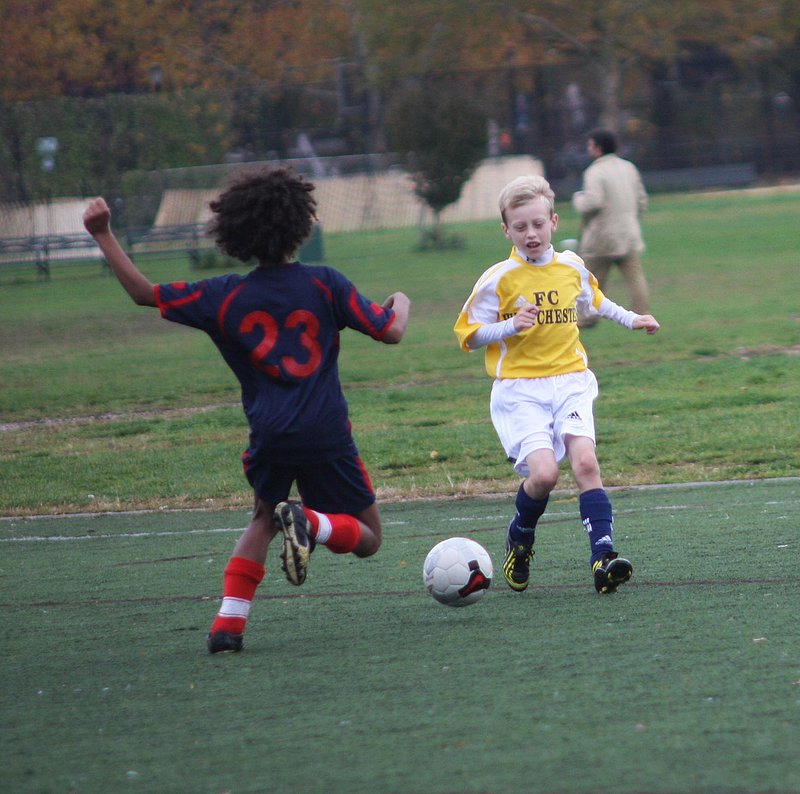 IMG_6166crop.jpg