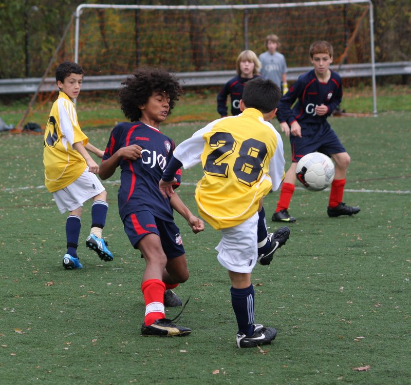 IMG_6205crop.jpg