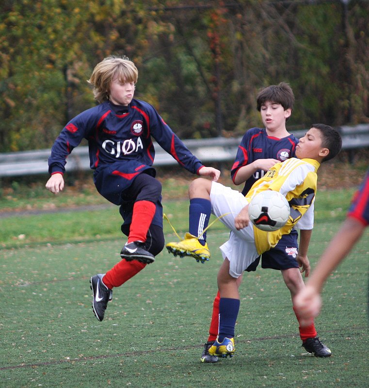 IMG_6209crop.jpg