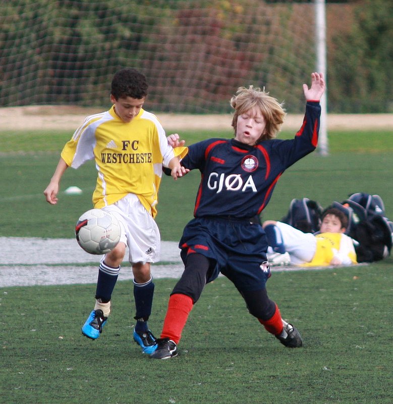 IMG_6272crop.jpg
