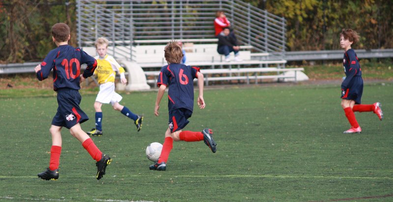 IMG_6277crop.jpg