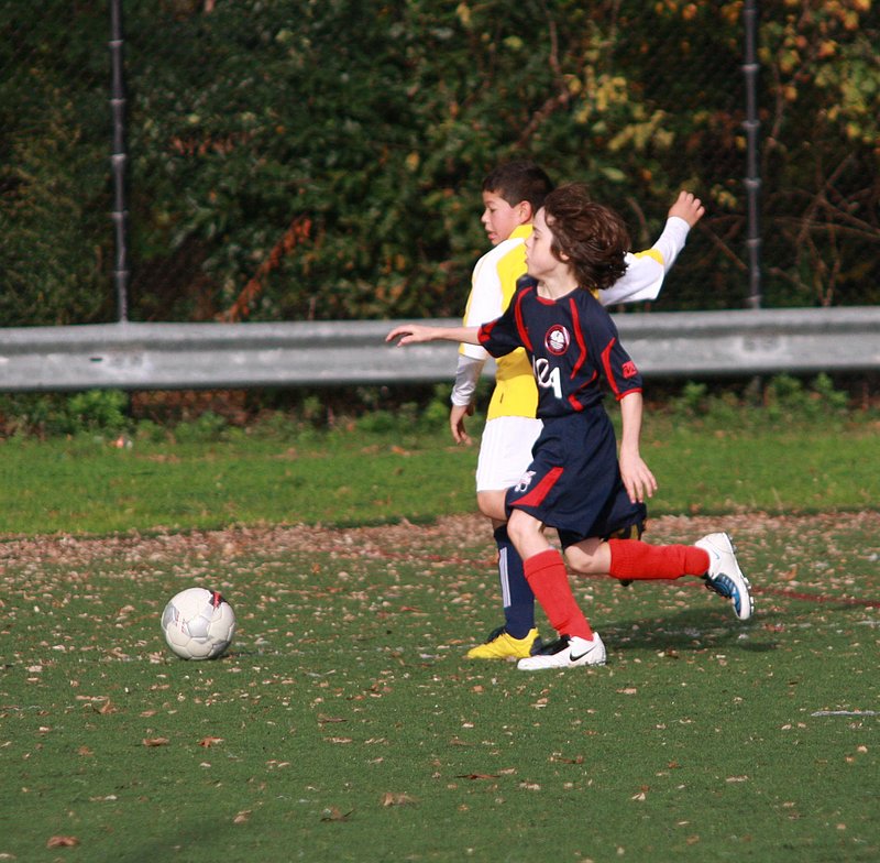 IMG_6288crop.jpg