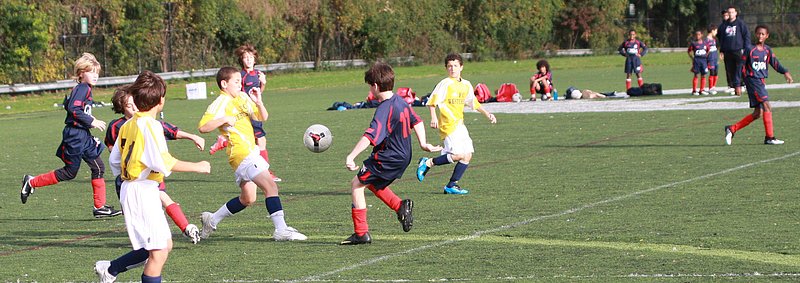 IMG_6294crop.jpg