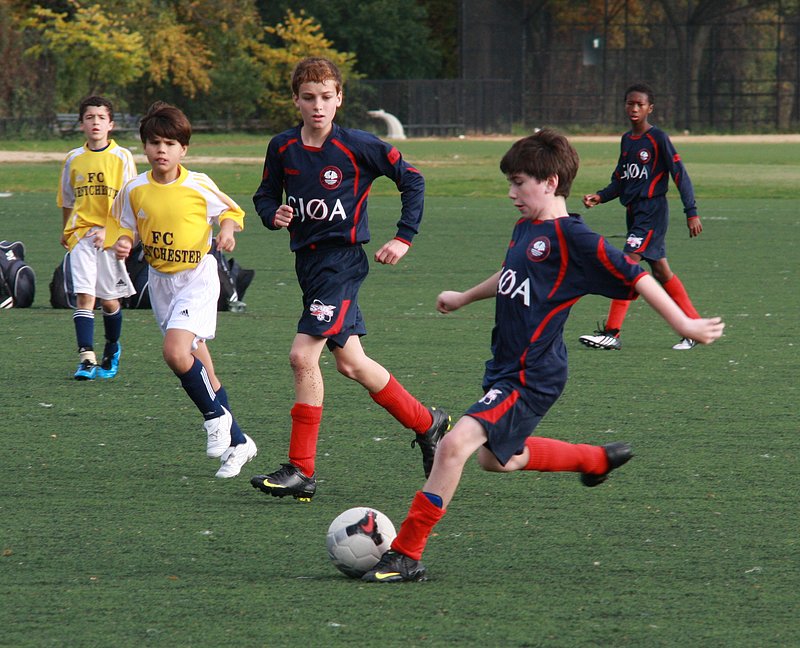 IMG_6308crop.jpg