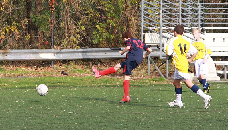 IMG_6315crop1.jpg