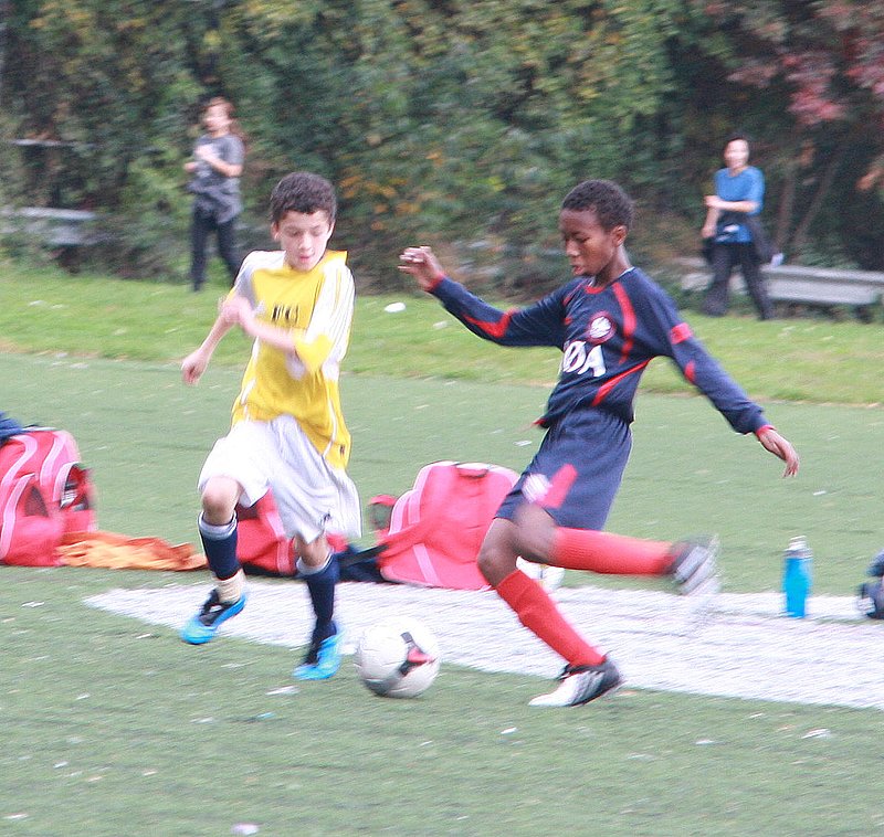 IMG_6326crop.jpg