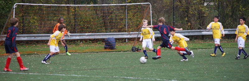 IMG_6358crop1.jpg