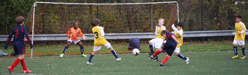 IMG_6359crop2.jpg