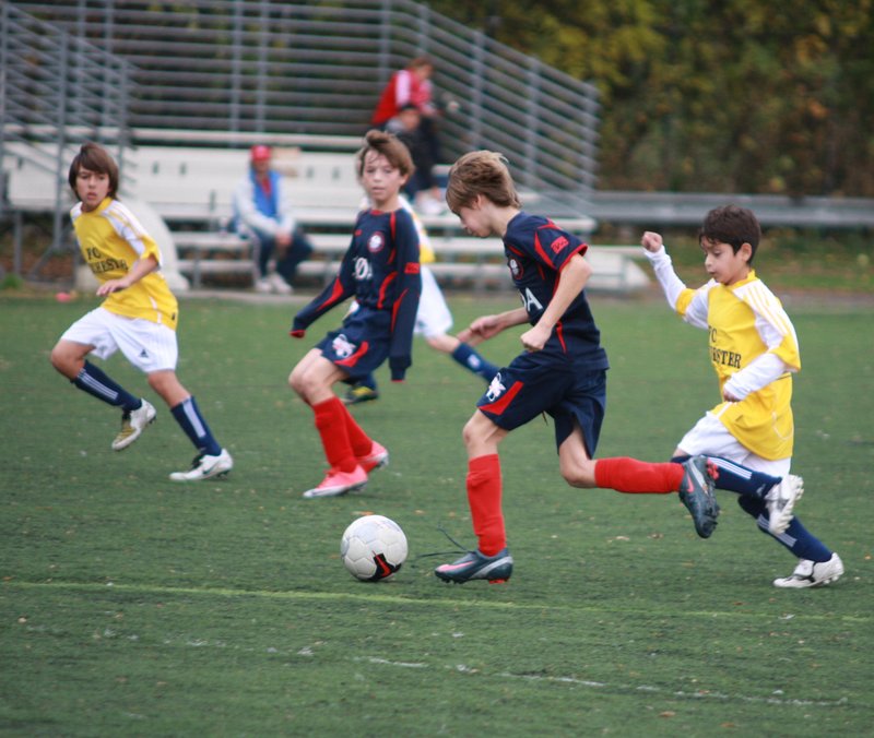 IMG_6364crop.jpg