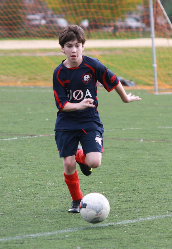 IMG_6386crop.jpg