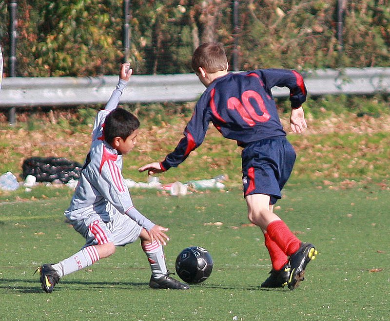 IMG_6973crop.jpg