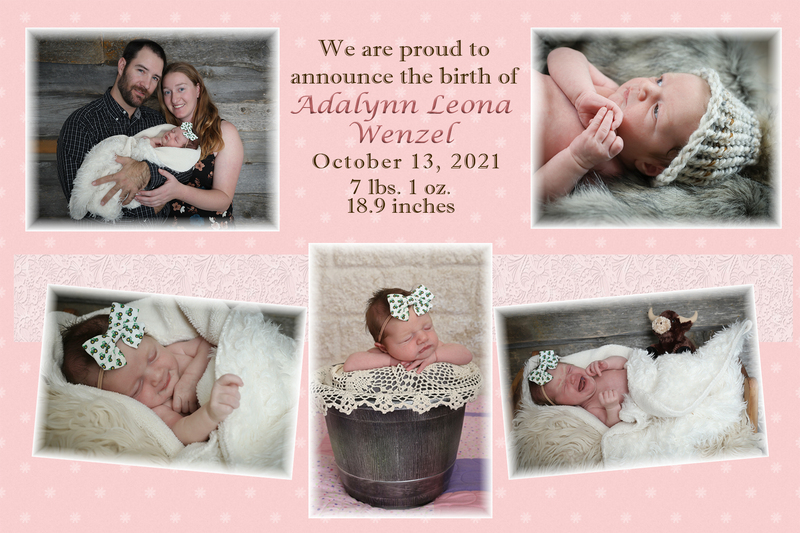 Birth announcement-final adj(1).jpg :: Newborn Moose Jaw Photography
