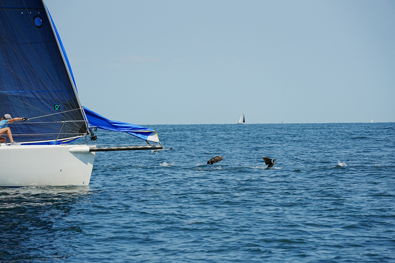 B6700184NBYC25-Sun-PHRF-ifp3.jpg