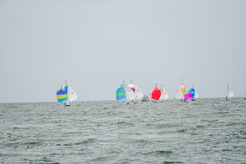 B6701445Bullseye Nat2025-Sun-ifp3.jpg