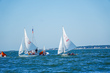 A6707991BullseyeNat25-Sat--ifp3.jpg