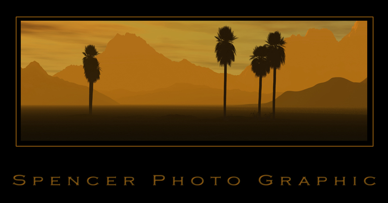Mexican Palms.jpg