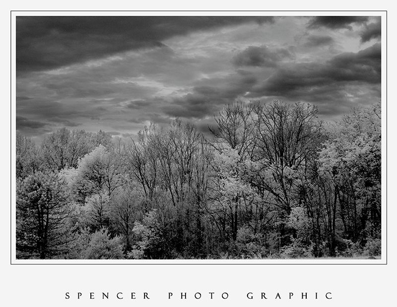 _MG_0032 V2 copy.jpg