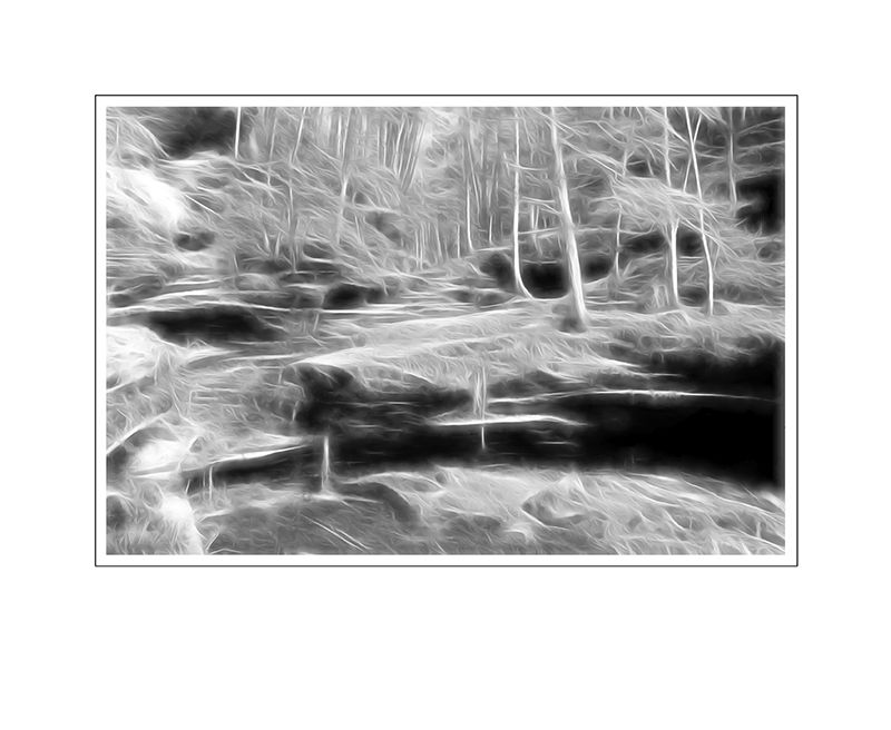 mmi omc bw copy 3.jpg